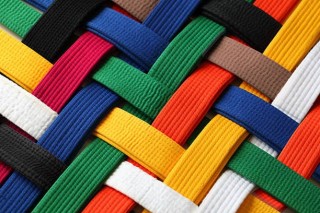 Image de l'actu 'La fête de La Maison du judo - Dimanche 22 juin - La Rauze'